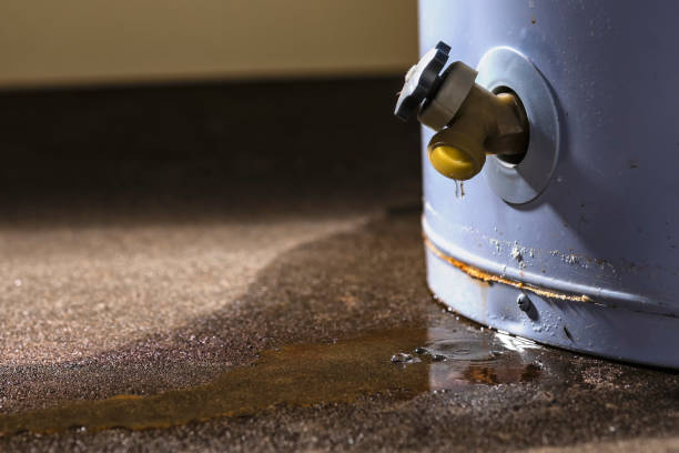 Best Water damage contractors near me  in Seattle, WA