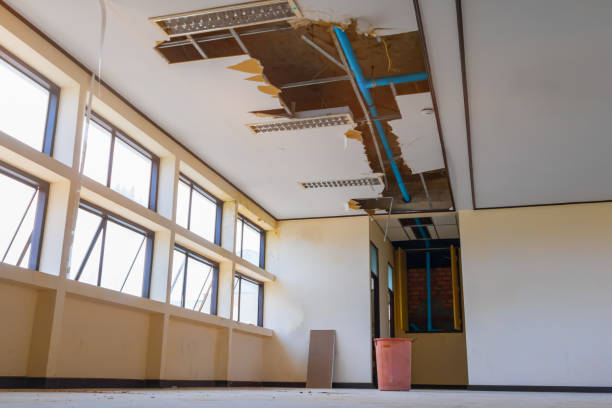 Best Water damage restoration insurance claims  in Seattle, WA