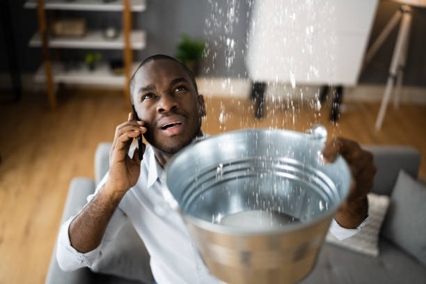 Best Flooded house restoration  in Seattle, WA