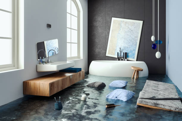 Best Carpet water damage restoration  in Seattle, WA