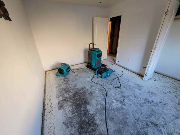Best Flood damage cleanup  in Seattle, WA