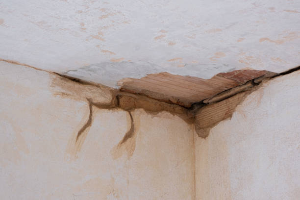 Best Local water damage restoration  in Seattle, WA