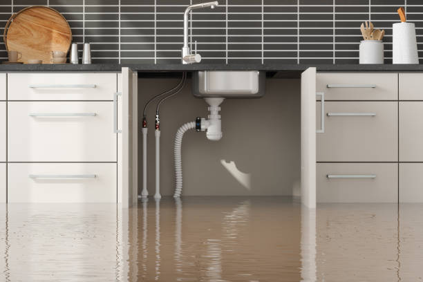Best Basement water damage restoration  in Seattle, WA