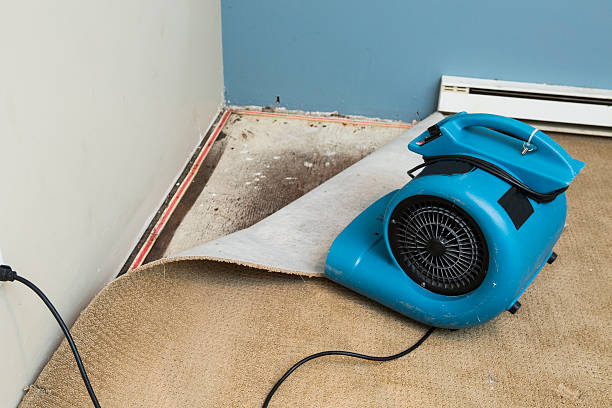 Best Ceiling water damage repair  in Seattle, WA